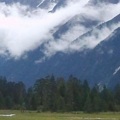 dorothealipsk18's profile picture. 