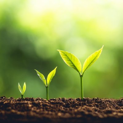 TC @OntarioTech_U I/S Biology & Chemistry | Education Enthusiast|👩🎓 @YorkUniversity, BSc. H | She/her #STEAM #inquiry #growthmindset #mentalhealthadvocate