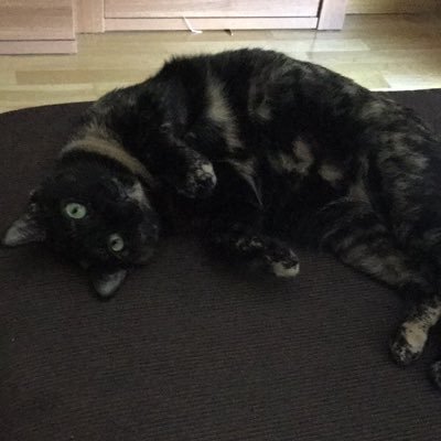 Beln82's profile picture. 