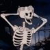 Halloween Steve (@gmscopes) Twitter profile photo Halloween Steve (@gmscopes) Twitter profile photo