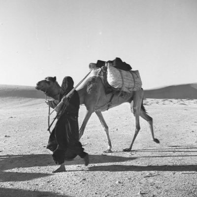 saudiat_2018's profile picture. قائدة فريق ساند بعطاء التطوعي أشتقت لروح تحت التراب.. Snapchat & instagram: saudiat_2018