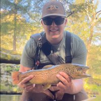 moof. (@mikesorgegang) 's Twitter Profile