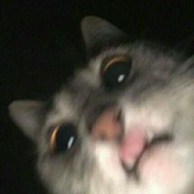 Howcouldthisfa1's profile picture. shooting astrazeneca in the club