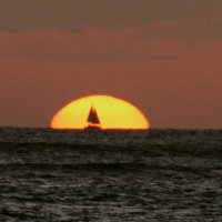 JP1LRT　公開アカウント (@jp1lrt_) 's Twitter Profile Photo