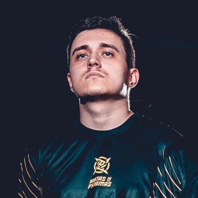 NIP pino Profile