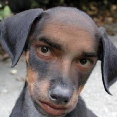 JustLucent's profile picture. sheeeeesh