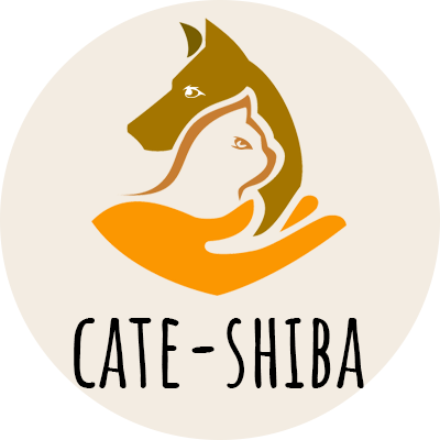 @cateshiba