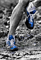 rantoomuch's profile picture. Dad, runner, geek. Not as quick as I used to be.