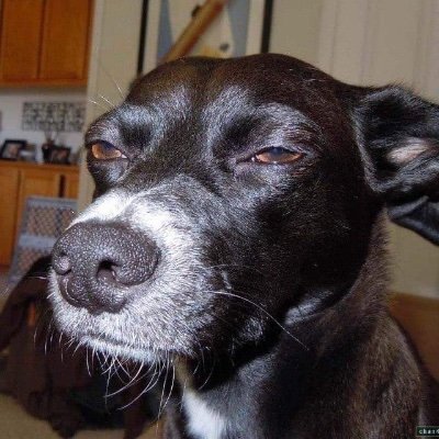 62XNsZnB3tIyjWR's profile picture.