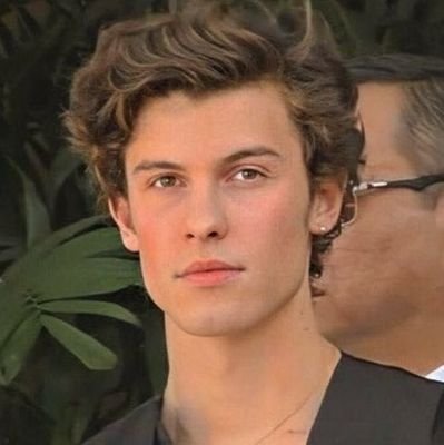 shawnxsoulmate's profile picture. eu e o shawn assistindo heartstopper