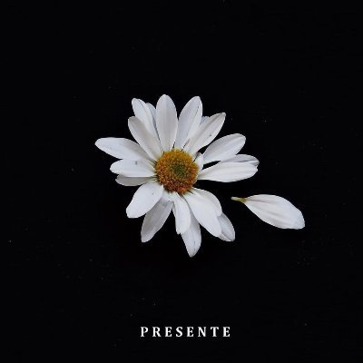 JeileenL's profile picture. 