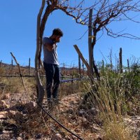 Lucas Glerean (@lucasgle) 's Twitter Profile Photo Lucas Glerean (@lucasgle) 's Twitter Profile Photo