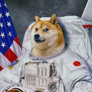 hmatija3's profile picture. 