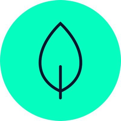 ScaleGrowth AI Profile