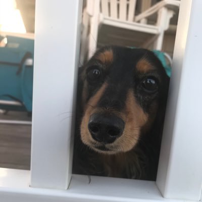 MamboIt58253604's profile picture. 