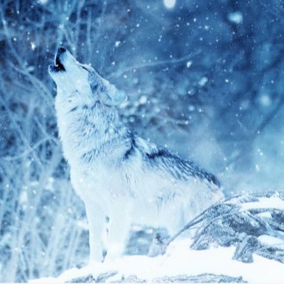 asstronamick's profile picture. 