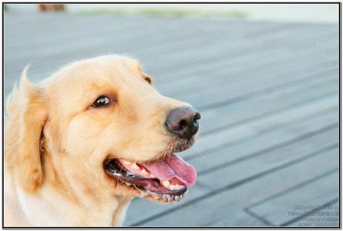 chung7777's profile picture. 