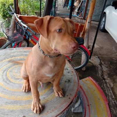 notarmy16's profile picture. 