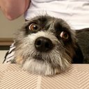 Marina Antonio - @marinaantoniooo - Twitter