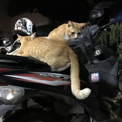 leachate_EQ's profile picture. 