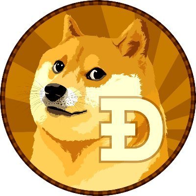 DogeCoin / Brl 🇧🇷 Profile