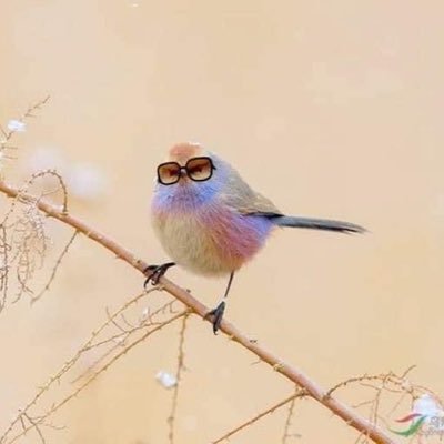 claudia73780413's profile picture. 