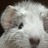 itsukushim's profile image