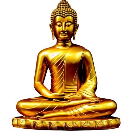 ravikantdohare6 Profile Picture