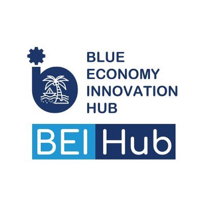 A Platform for Co-Creating Solutions in the Blue Economy Ecosystem