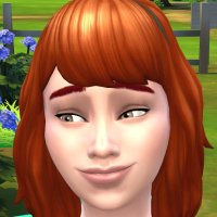 シムニシティ【シムズ4】 (@simnisity_simko) 's Twitter Profile