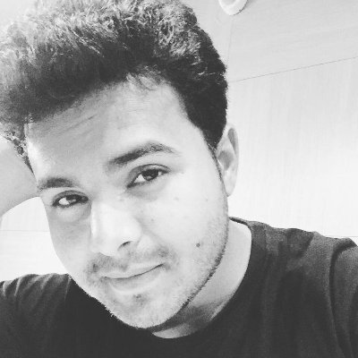 RajRajvans's profile picture. 