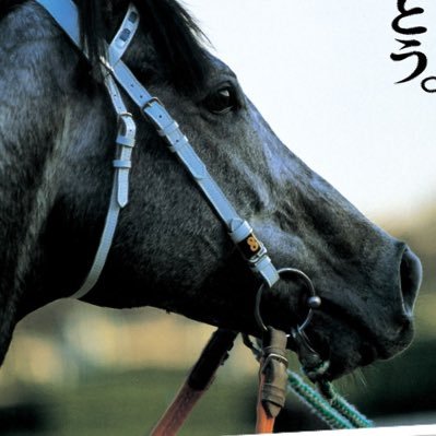 MydreamOguriCap's profile picture. 命あっての物種。キミに出逢えて本当によかった！たくさんの感動をありがとう！7/20