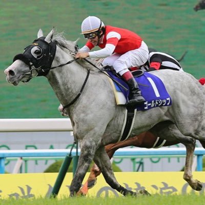 熱烈な競馬ファンです🏇2021年11月8日から、noteにて無料予想記事を毎日配信してます‼︎老若男女競馬好きの仲間を作るアカウントになります👍的中報告とご祝儀は常時受付中になります😂