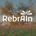 RebrAIn (@rebrain_eu) Twitter profile photo