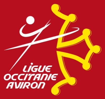 La ligue Occitanie c'est 54 clubs dans 10 départements. Elle promeut toutes les pratiques d'aviron : olympique, mer, indoor et banc fixe (traditionnel).
