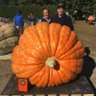 jkpayoung's profile picture. Grower of giant pumpkins and other vegetables since 1996.