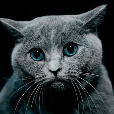 at_the_middle's profile picture. Almost always, the truth is somewhere in the middle