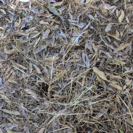 OpasJ4's profile picture. คิดเรื่องยากๆไม่ได้