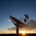 SARAO - South African Radio Astronomy Observatory (@SKA_Africa) Twitter profile photo