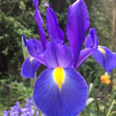 Small business owner. Former journalist. Love flowers, but hate weeding. It's wild out there.