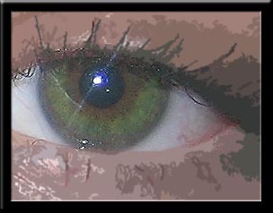 beanincanada's profile picture. I'm a real boy!