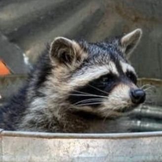 Satanscoffee6's profile picture. Neglected emotions leading to catastrophic voyage on the other side