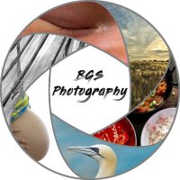 BGS Photography(@BGSphotographic) 's Twitter Profile Photo