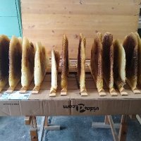 Matteo Barbone (@barbmatteo) 's Twitter Profile