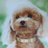 武田さんのアイコン