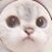 อิ๊งคึ:-Pさんのプロフィール画像