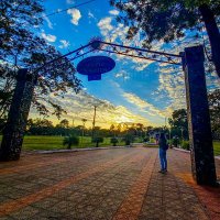 Clarialpy (@clarialpy) 's Twitter Profile