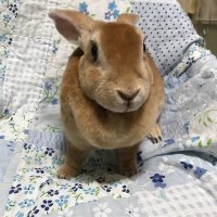 市井のヒト🍉 (@6jfvujesapj4ilm) 's Twitter Profile Photo 市井のヒト🍉 (@6jfvujesapj4ilm) 's Twitter Profile Photo