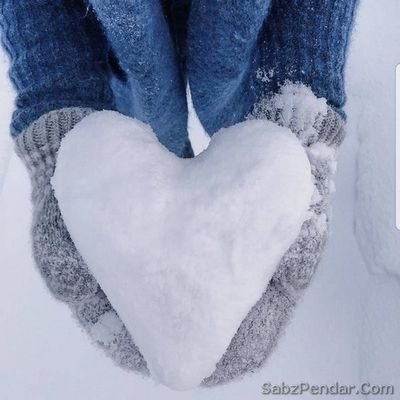 Exofan15624033's profile picture. 