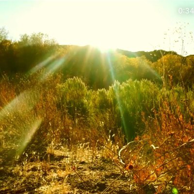 daka37's profile picture. human | poet | dragonfly